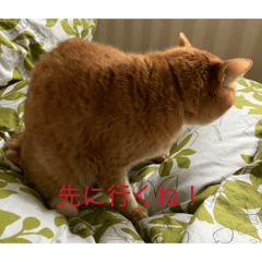 magicyuito_20260503122203