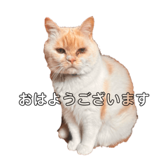 ema_20260503122217