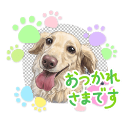 Aki_20260503145941
