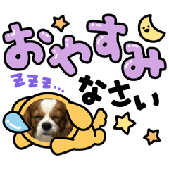 moca._20260503145800