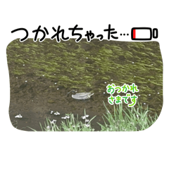 o ne ne_20260503145846