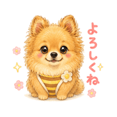 mikora_20260503150131