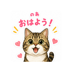 5Cats Story