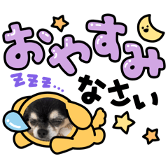 Y_20260503151009