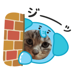 Y_20260503150822