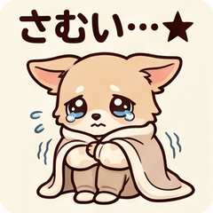 Chihuahua Chibi Daily Stickers!