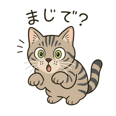 Koban the Cat & Ringo the Dog