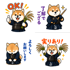 ShibaKendo