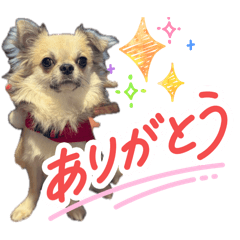 Tomoki_20260503105255