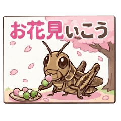 Haru_20260503094148