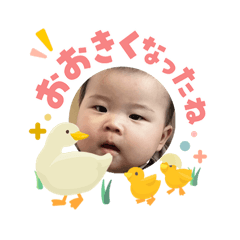 Shu_20260503110255