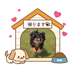 Maro_20260503105732