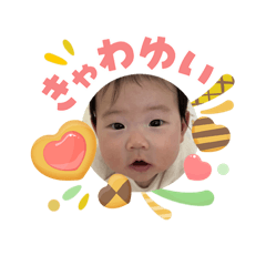 kaki_20260503110324