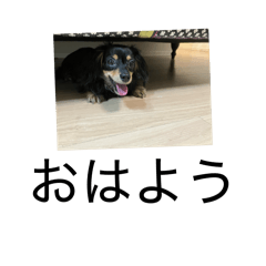 Leo_20260503160129