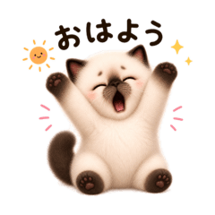 ATELIER marika_20260503155738