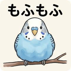 Budgerigar Realistic Cute Stickers!