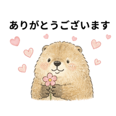 Fluffy Marmot Daily Sticker