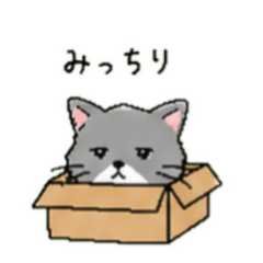 Cute Lazy Cats 40  Kawaii Daily Stickers