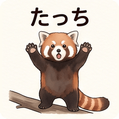 Red Panda Daily Stickers!