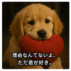 Golden Retriever Potechi 4