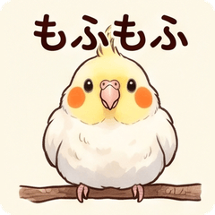 Cockatiel Realistic Cute Stickers!