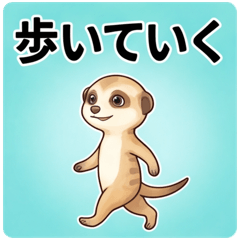 On My Way! Meerkat
