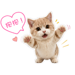 短腿小樂♡2