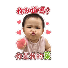 菲寶Freya16