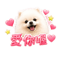 小白噠噠