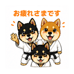 sunshiba_20260503131424
