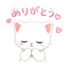 Transparent Kitten Stickers