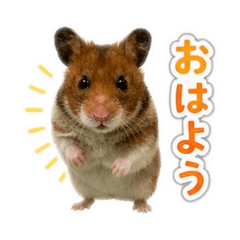 Kumasan_20260503131330