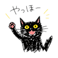 A black cat with a bad picture