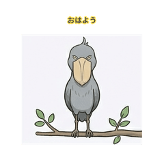 The Expressionless Shoebill