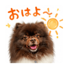 saya_202605031324011