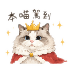 可愛阿嚕