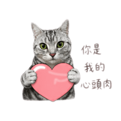 多比土味情話