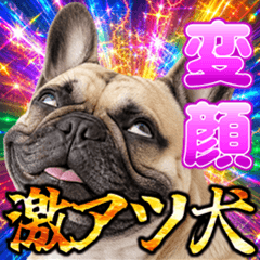 gekiatuinu