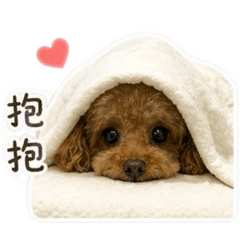 劉奶茶日常2