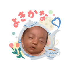 nori_20260503113354