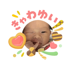 noa_20260503113233