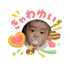 ozashikikobura_20260503122917