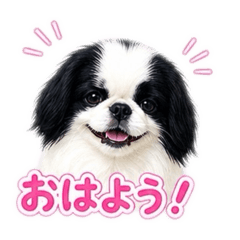 saya_20260503134855