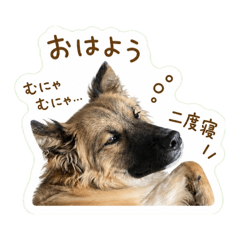 cha_20260503134630