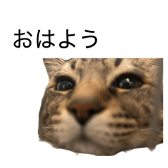 ooooo_20260503143615