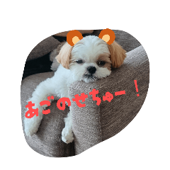 nikopi-_20260503135151