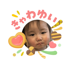 maple_20260503163440