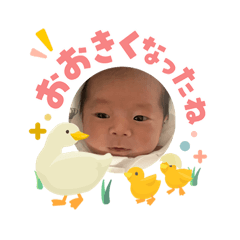 puppu_20260503163117