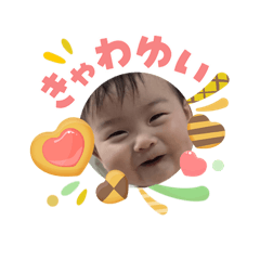 harapeko takachan_20260503163608