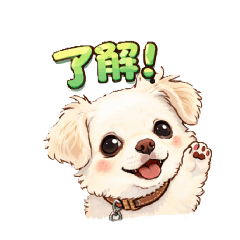 nika_20260503143427